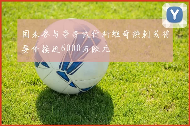 国米参与争夺武什科维奇热刺或将要价接近6000万欧元