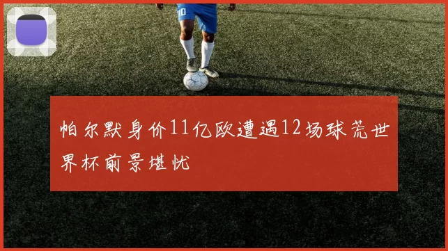 帕尔默身价11亿欧遭遇12场球荒世界杯前景堪忧